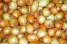 Agricultura-22