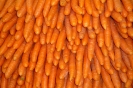 Agricultura-26