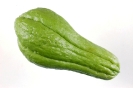 Agricultura-27
