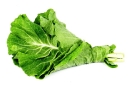 Agricultura-30