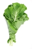Agricultura-31