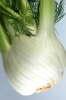 Agricultura-33