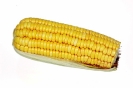 Agricultura-35