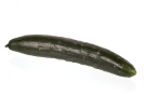 Agricultura-38