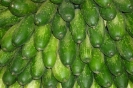 Agricultura-40