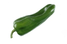 Agricultura-45