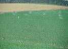 Agricultura-54
