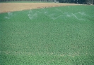Agricultura-55