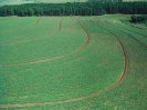 Agricultura-56