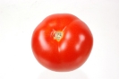 Agricultura-68