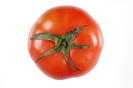 Agricultura-70