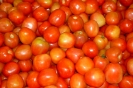 Agricultura-73