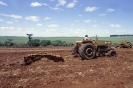 Agricultura-74