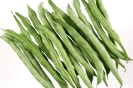 Agricultura-78