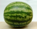 Agricultura