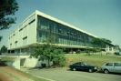 Bienal