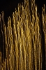 Luzes