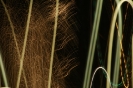 Luzes