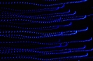 Luzes