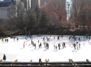 Patinação Wolman Rink Central Park