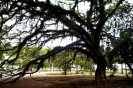 Praça Santos Coimbra