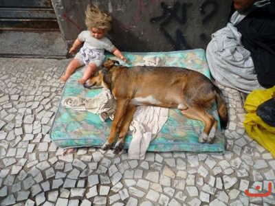 Cachorro Rua Braúlio Gomes